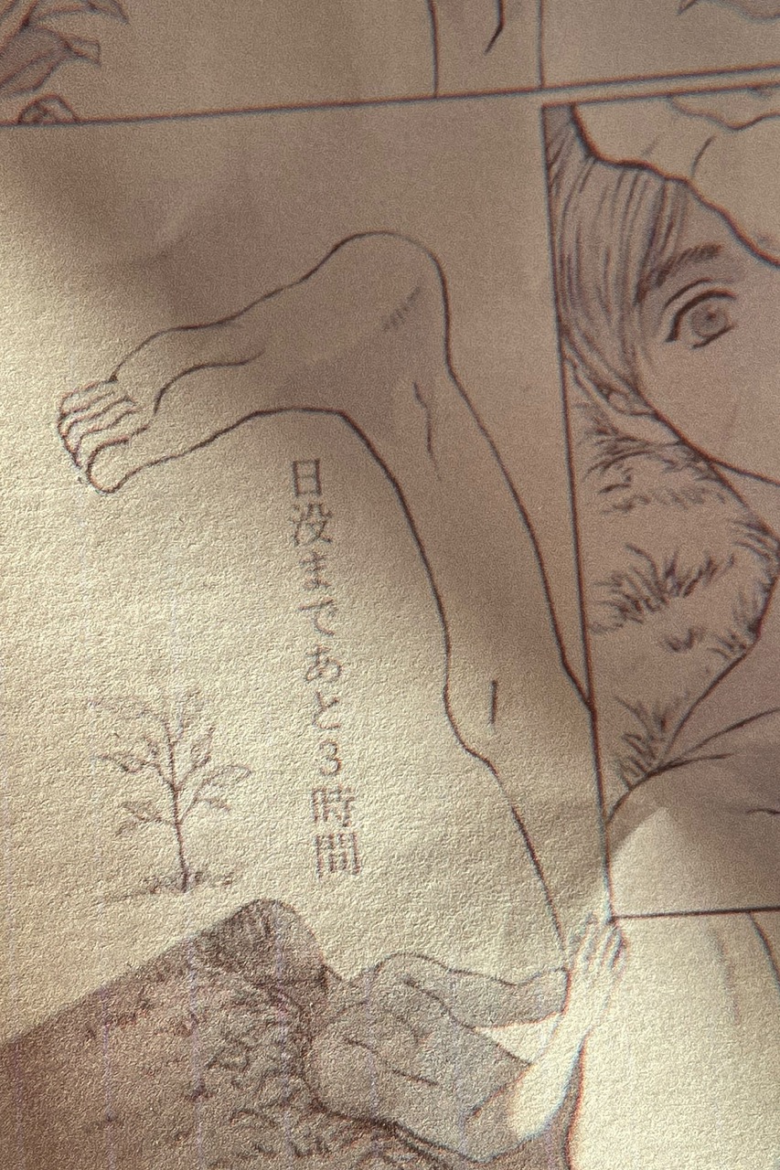 Skiapode_Skiapod_Skiapodes_Skaipods_Sciapode_Sciapod_Sciapodes_Sciapods_31