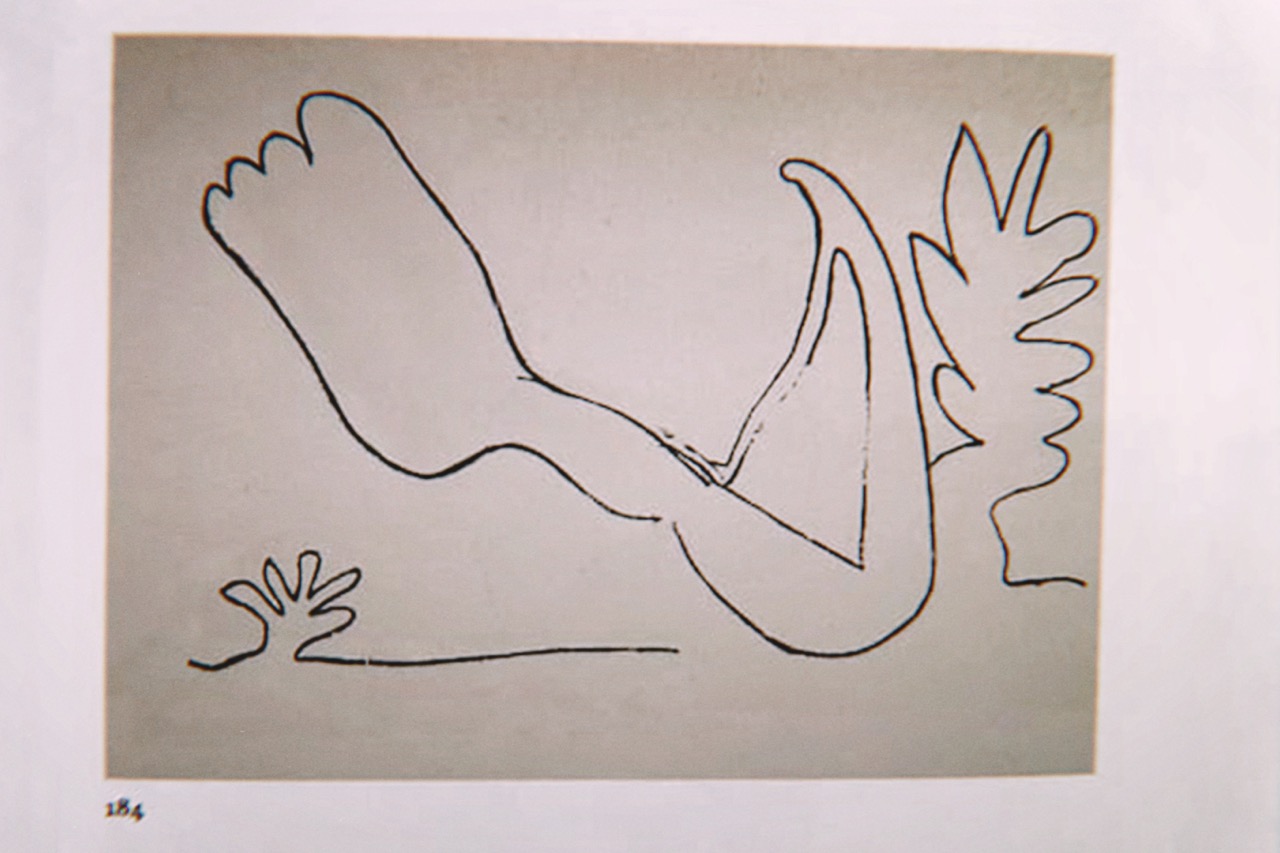 Skiapode_Skiapod_Skiapodes_Skaipods_Sciapode_Sciapod_Sciapodes_Sciapods_36