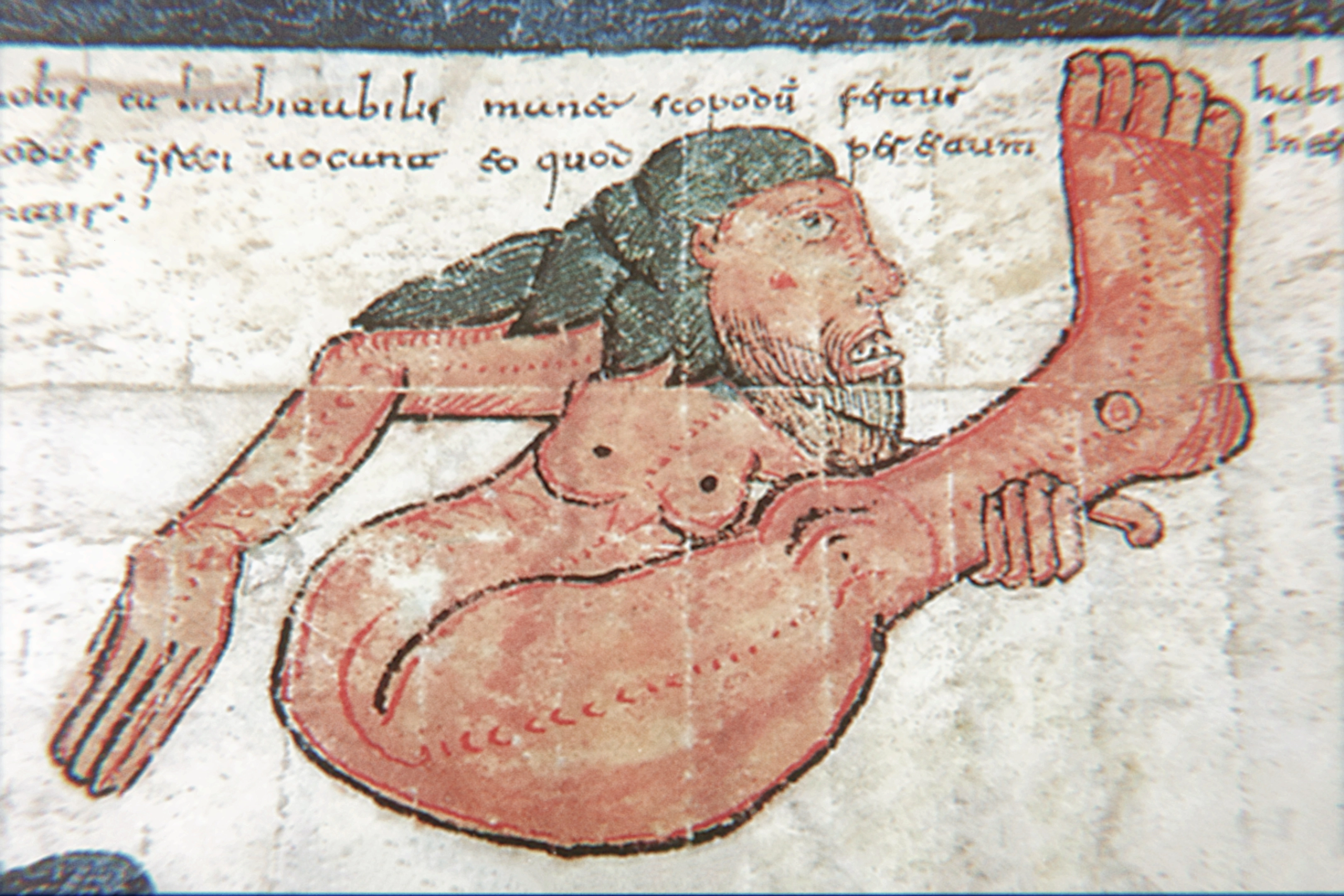 Skiapode_Skiapod_Skiapodes_Skaipods_Sciapode_Sciapod_Sciapodes_Sciapods_40