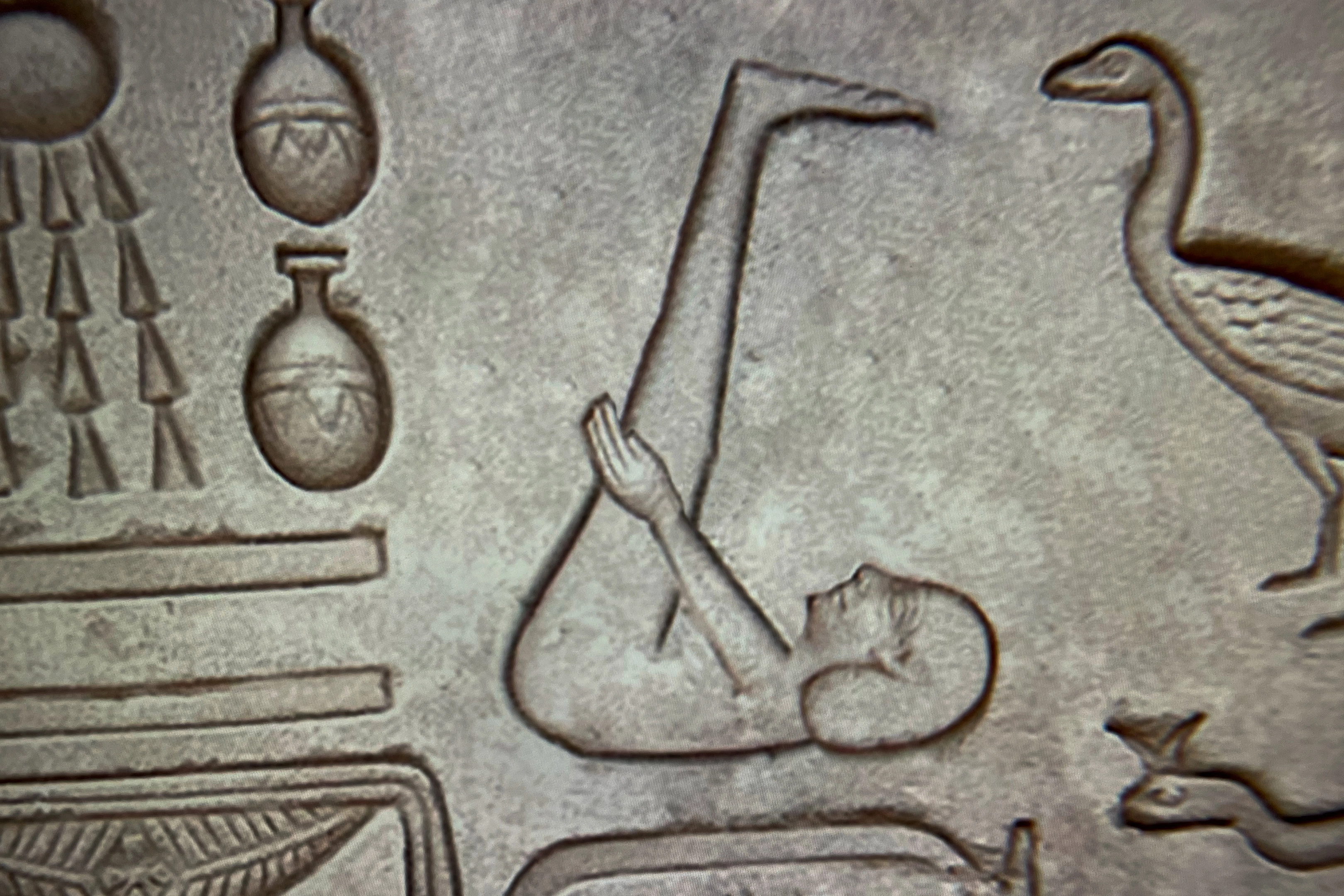 Skiapode_Skiapod_Skiapodes_Skaipods_Sciapode_Sciapod_Sciapodes_Sciapods_54