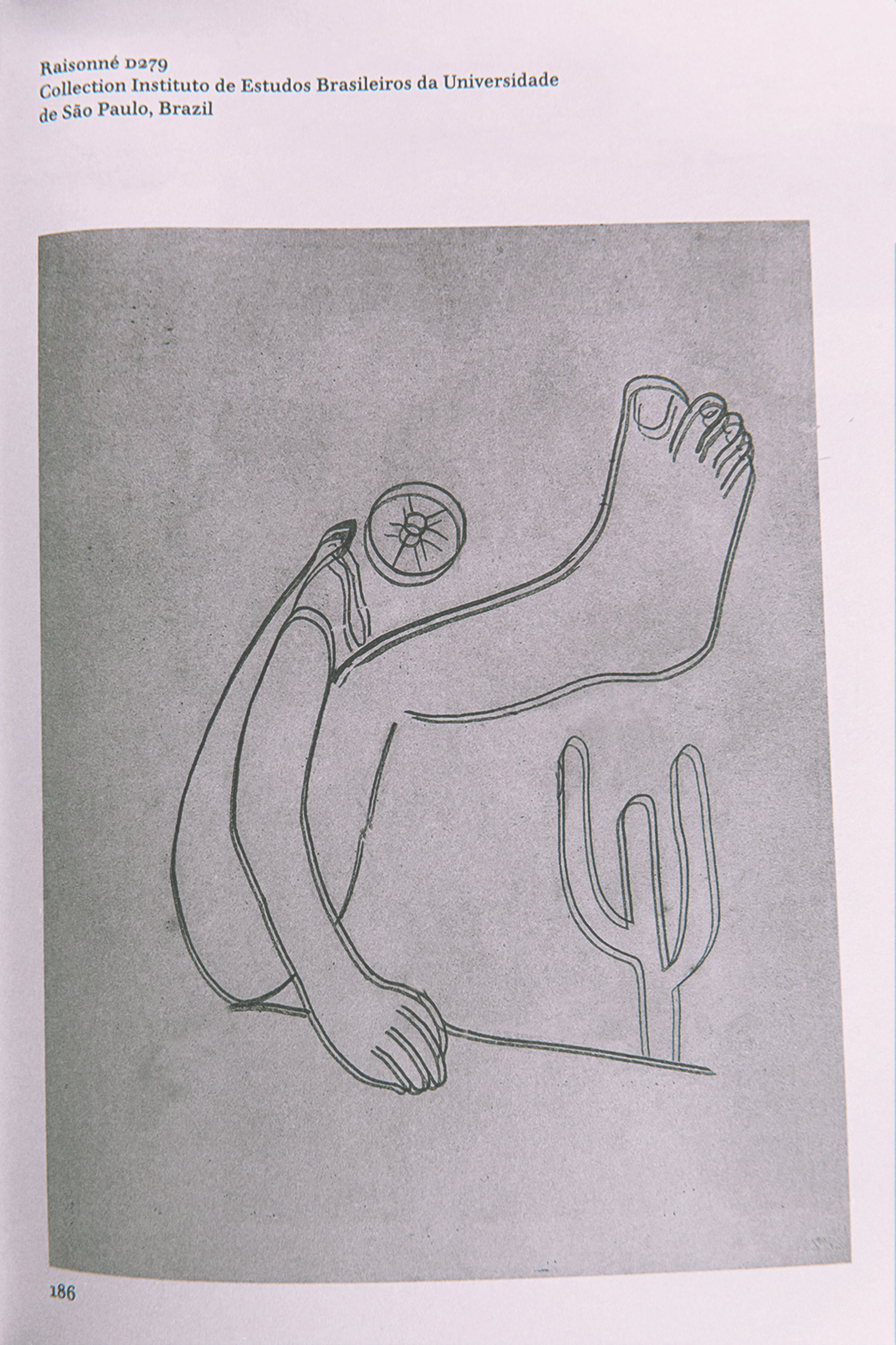 Skiapode_Skiapod_Skiapodes_Skaipods_Sciapode_Sciapod_Sciapodes_Sciapods_35