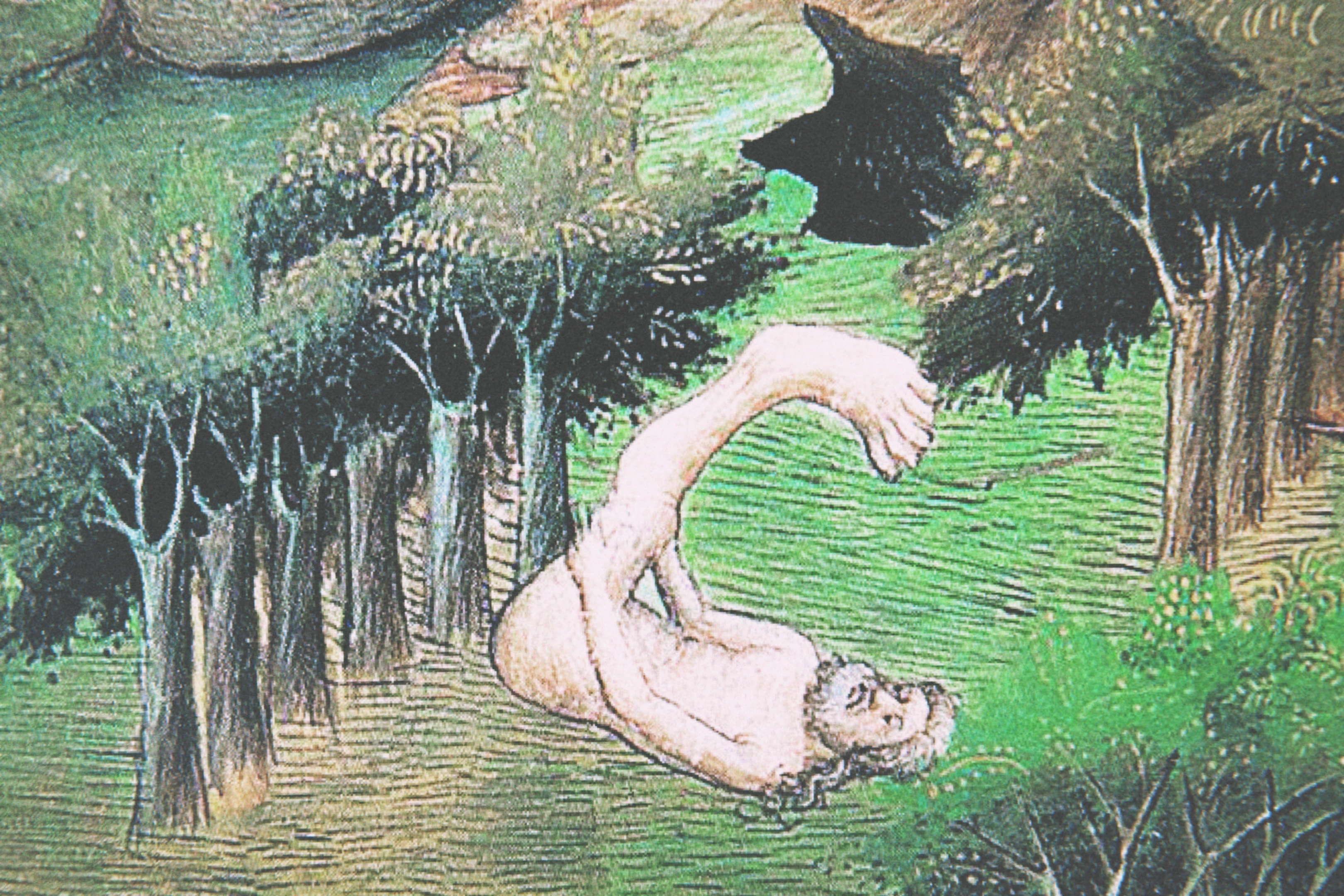 Skiapode_Skiapod_Skiapodes_Skaipods_Sciapode_Sciapod_Sciapodes_Sciapods_56