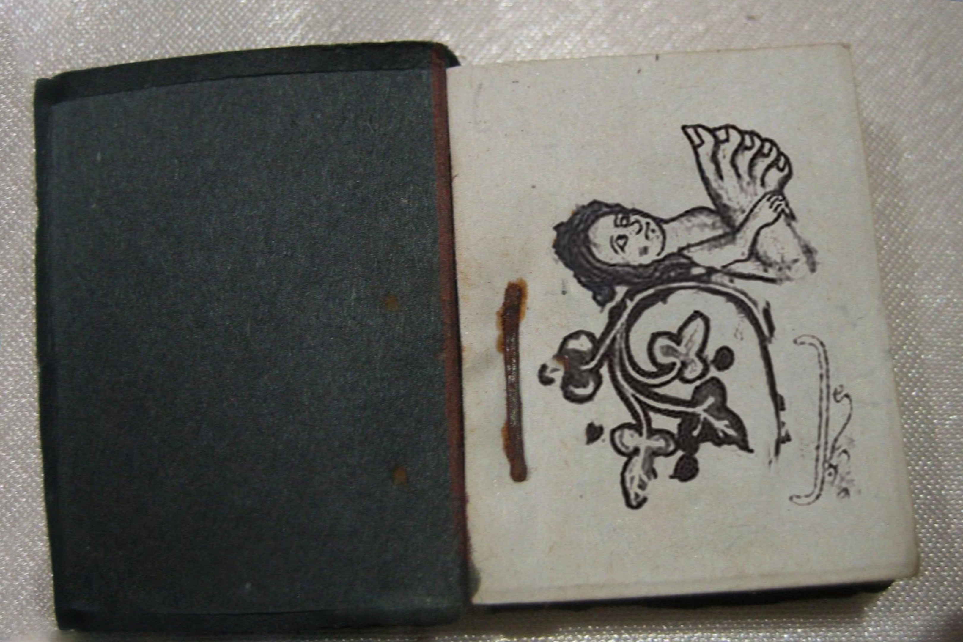 Skiapode_Skiapod_Skiapodes_Skaipods_Sciapode_Sciapod_Sciapodes_Sciapods_60