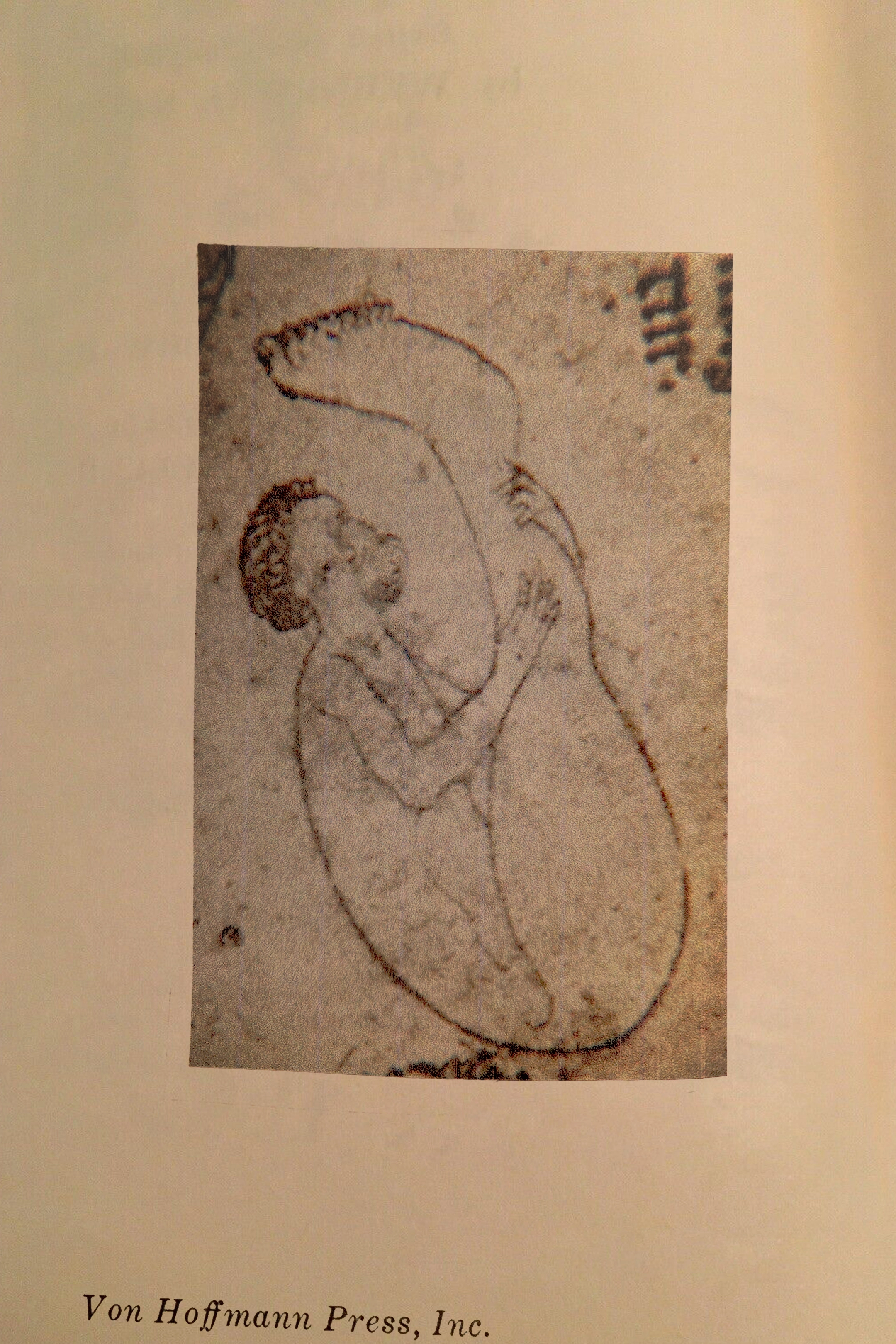 Skiapode_Skiapod_Skiapodes_Skaipods_Sciapode_Sciapod_Sciapodes_Sciapods_63