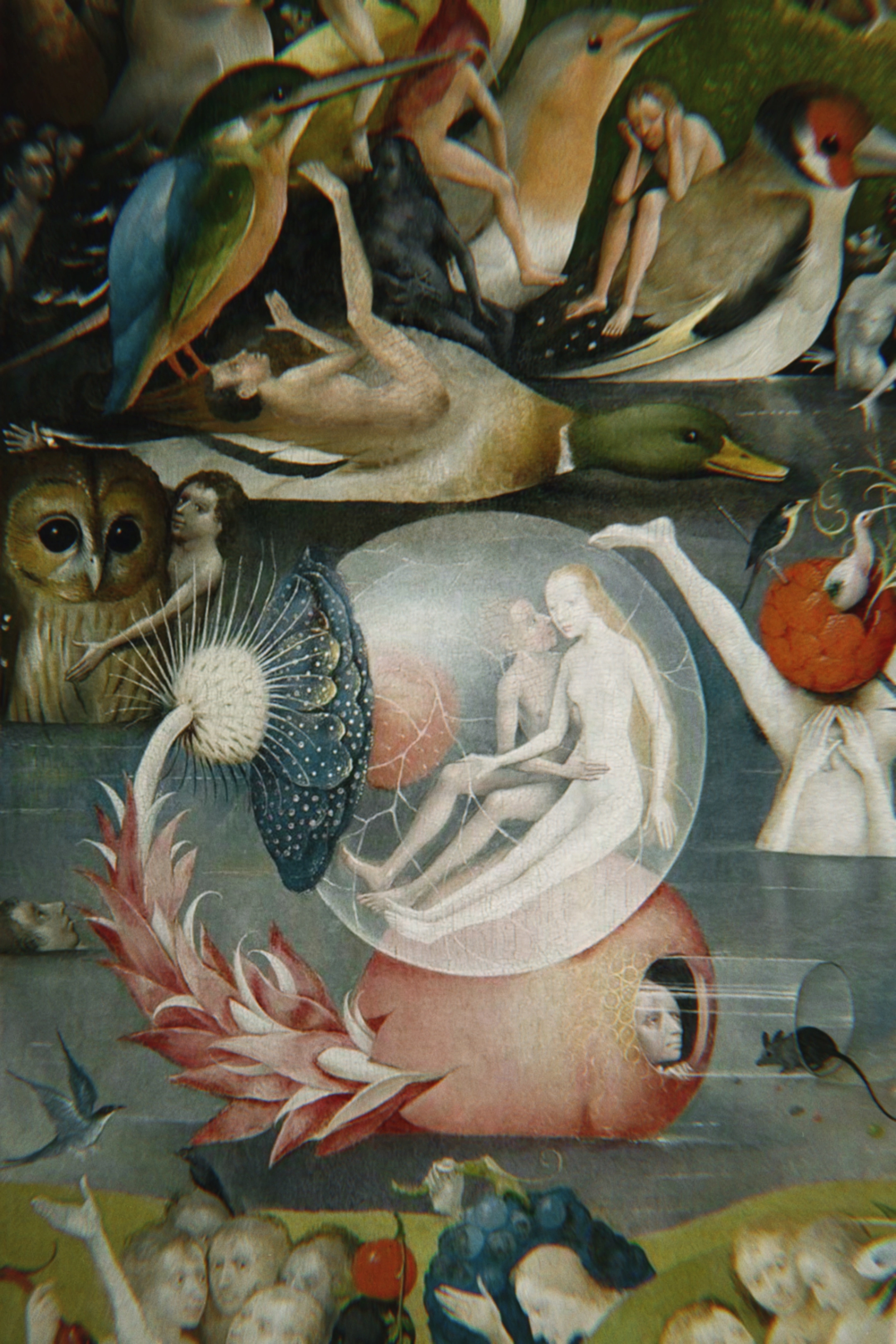 Skiapode_Skiapod_Skiapodes_Skaipods_Sciapode_Sciapod_Sciapodes_Sciapods_68