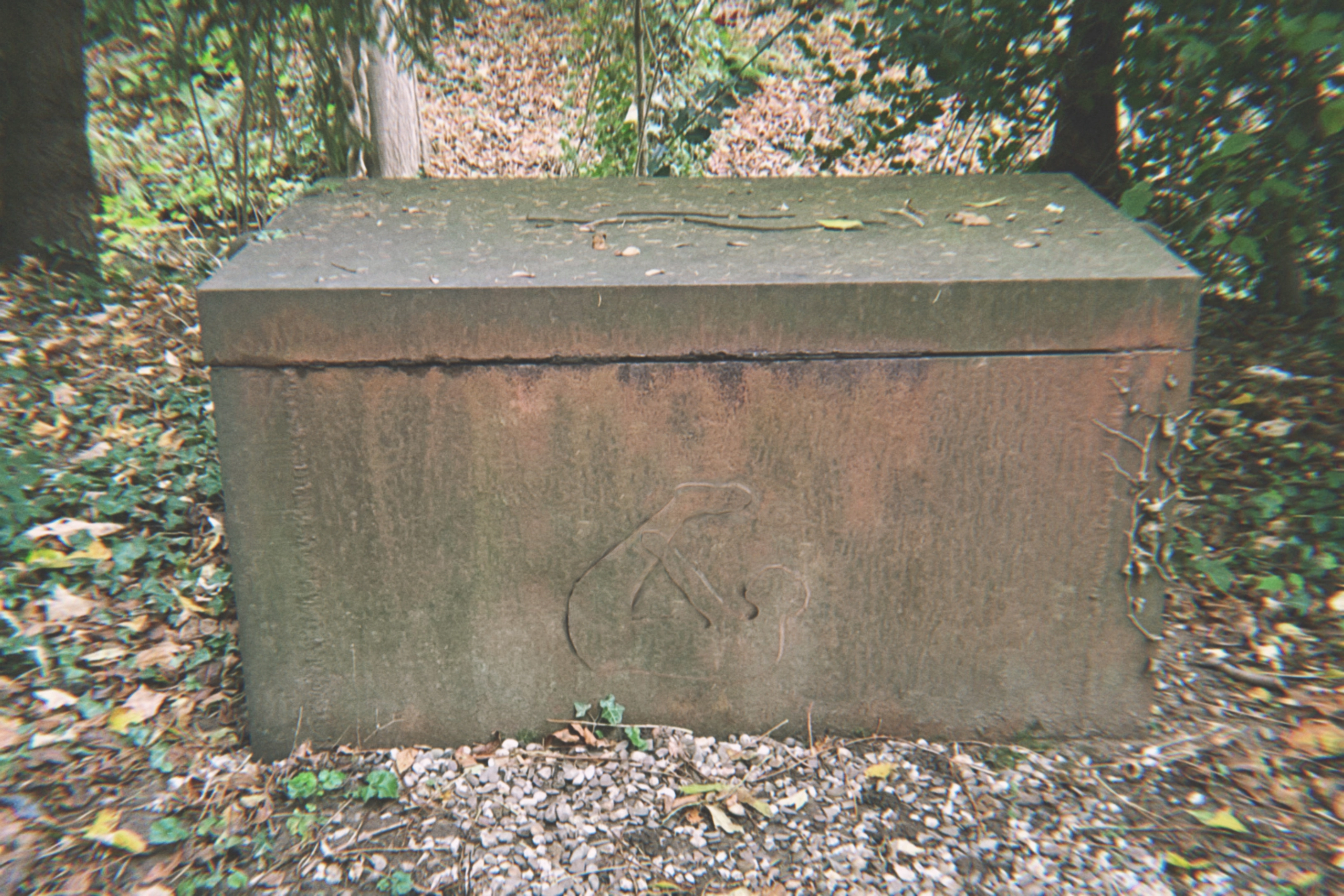 Skiapode_Skiapod_Skiapodes_Skaipods_Sciapode_Sciapod_Sciapodes_Sciapods_70