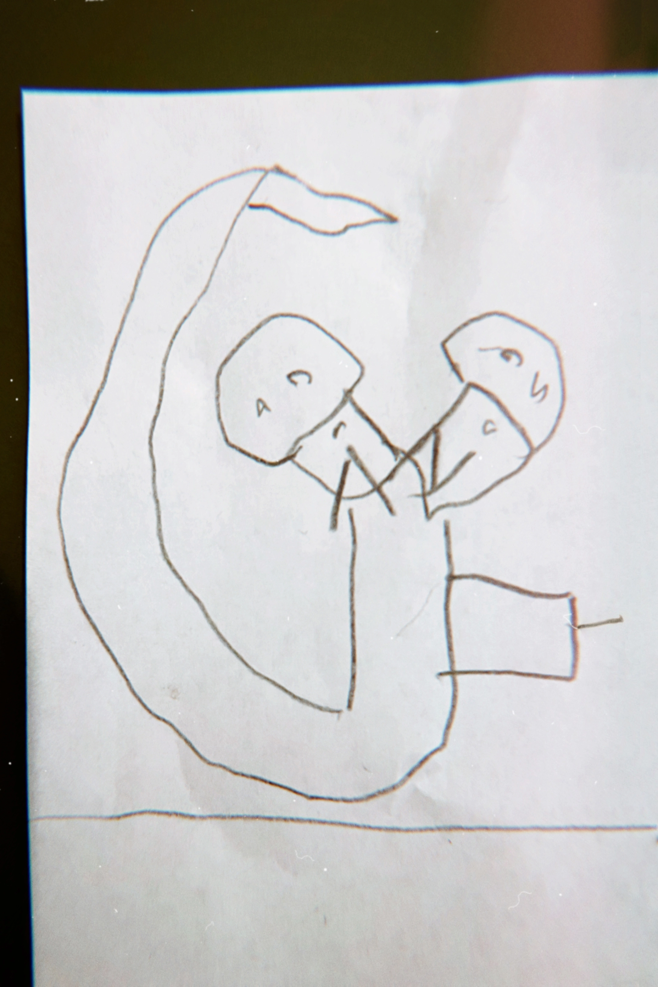 Skiapode_Skiapod_Skiapodes_Skaipods_Sciapode_Sciapod_Sciapodes_Sciapods_71