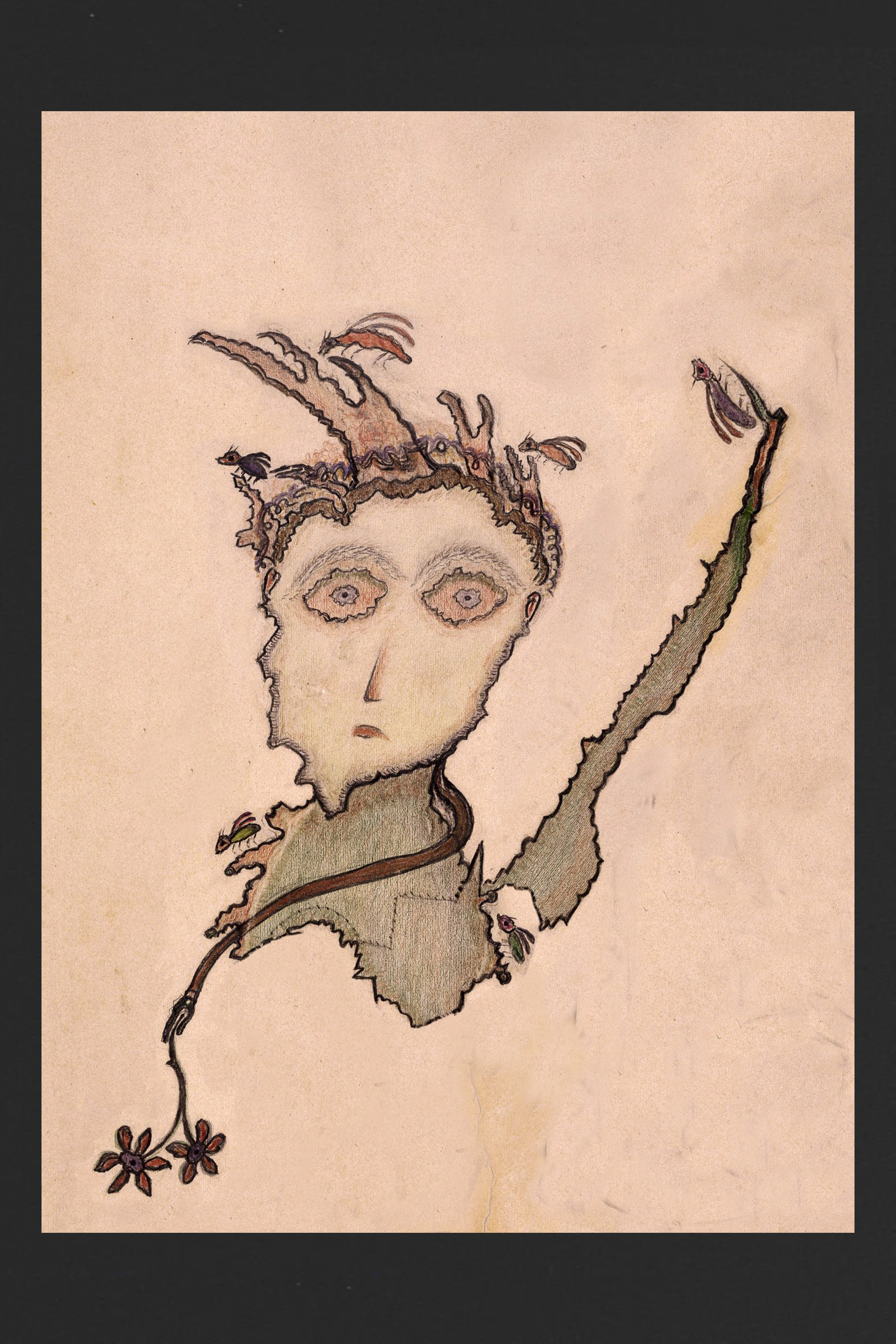 Skiapode_Skiapod_Skiapodes_Skaipods_Sciapode_Sciapod_Sciapodes_Sciapods_72