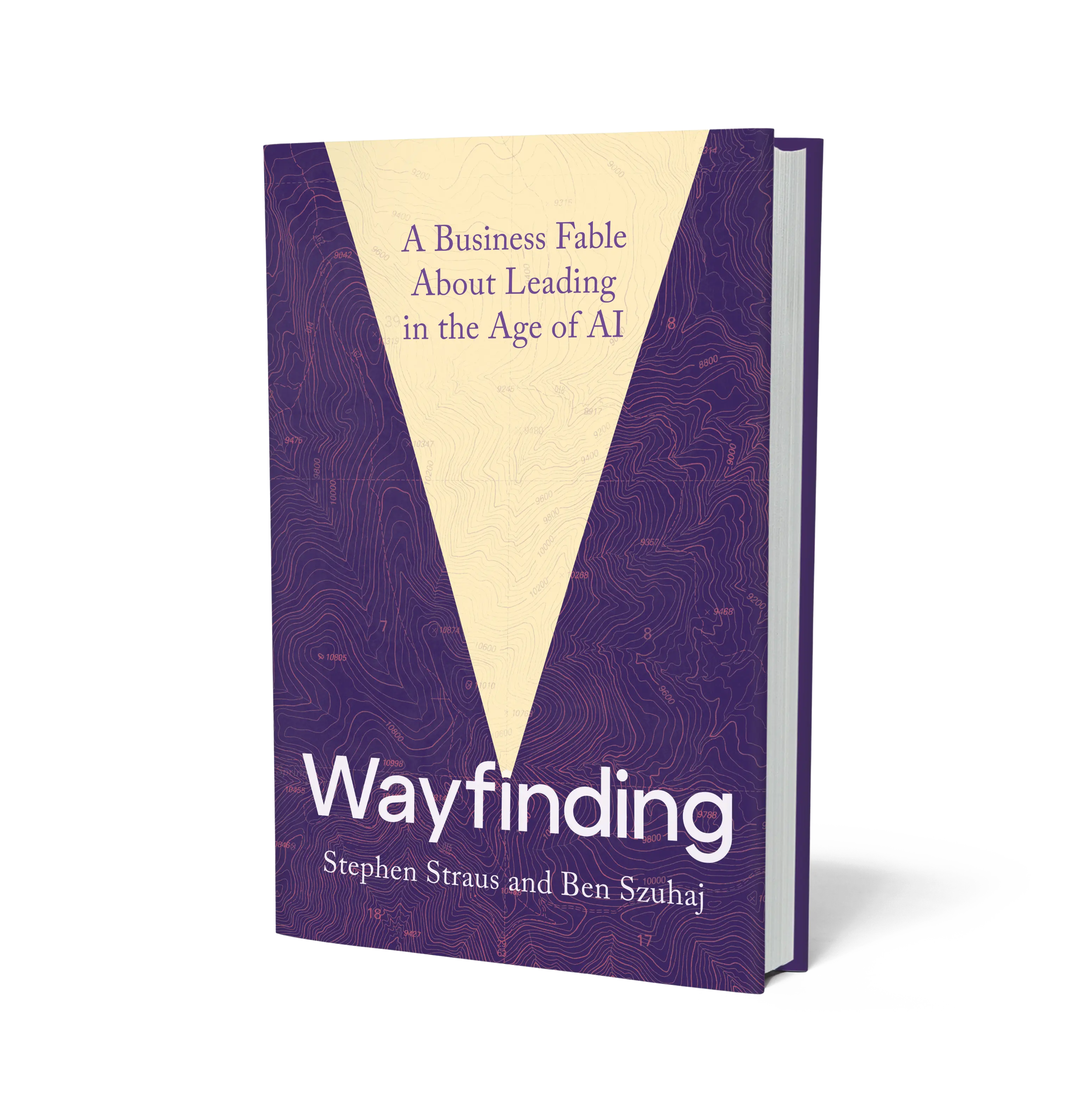 wayfinding book thumbnail