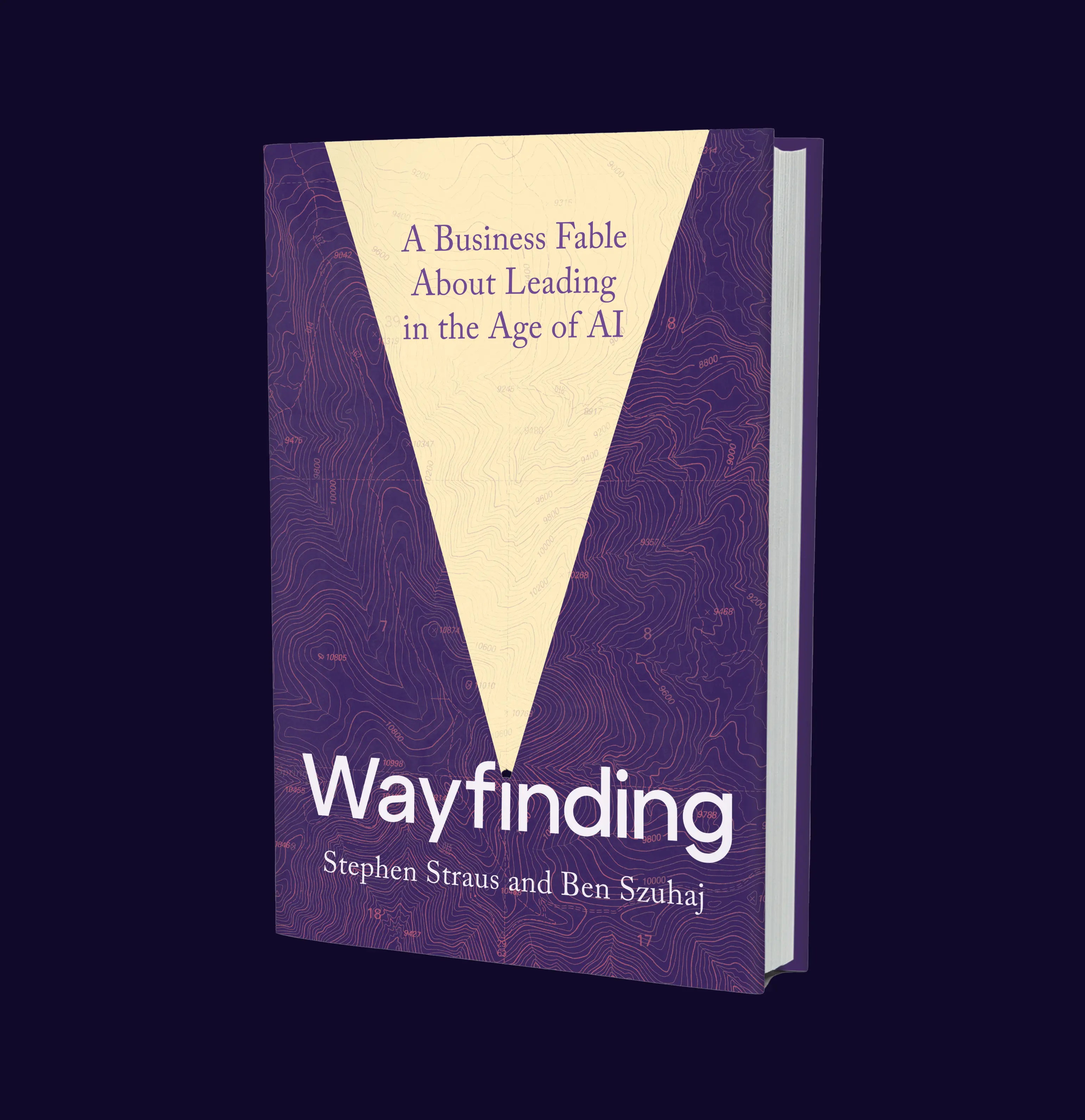 wayfinding book thumbnail