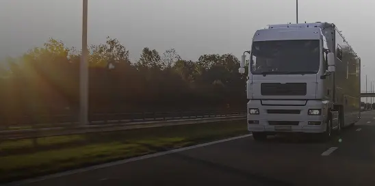 White semi-truck driving on a highway lined with trees during early morning or late afternoon light.