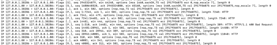 Tcpdump output for SSL Dos method