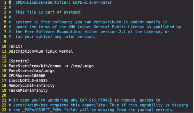 example contents