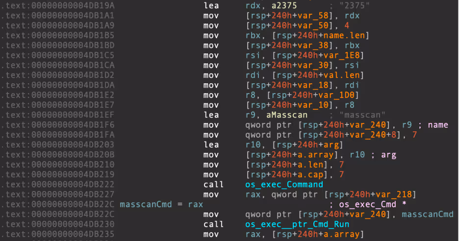 disassembly demonstrating use of os/exec to run massan