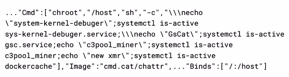 Container image with custom command to execute