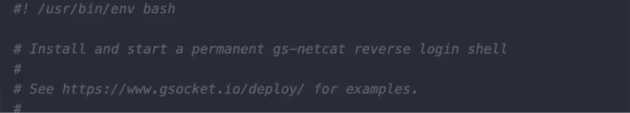 Reverse shell script