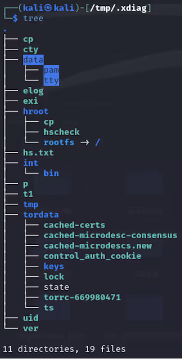 .xdiag directory