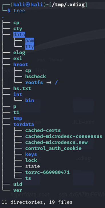 .xdiag directory 
