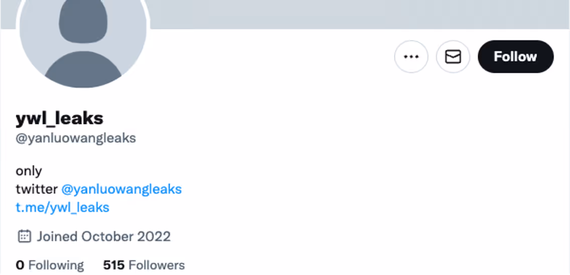 Twitter account where the leaks and decryption source were shared