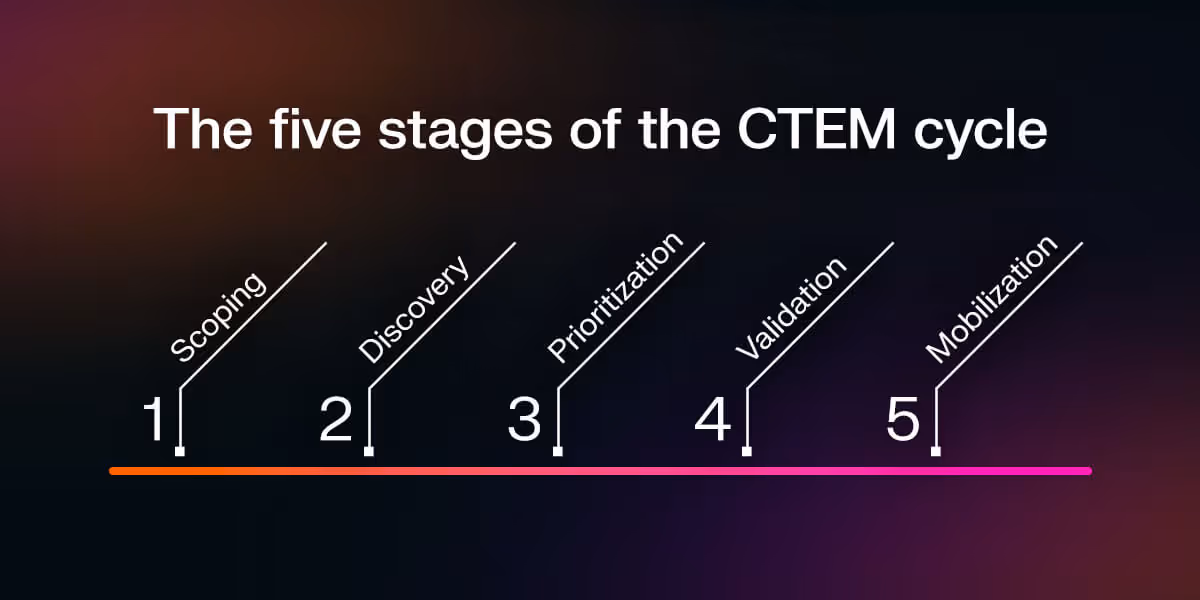 The five stages of the CTEM cycle