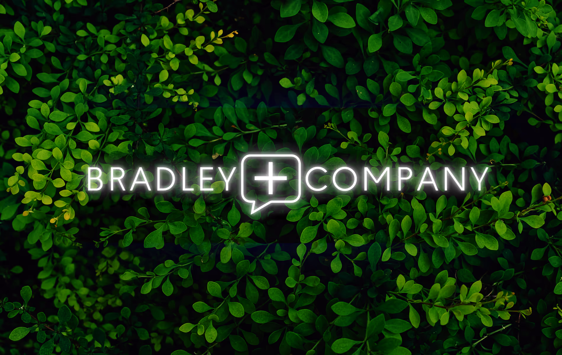 Green leafy background with glowing text reading Bradley + Company in the center.