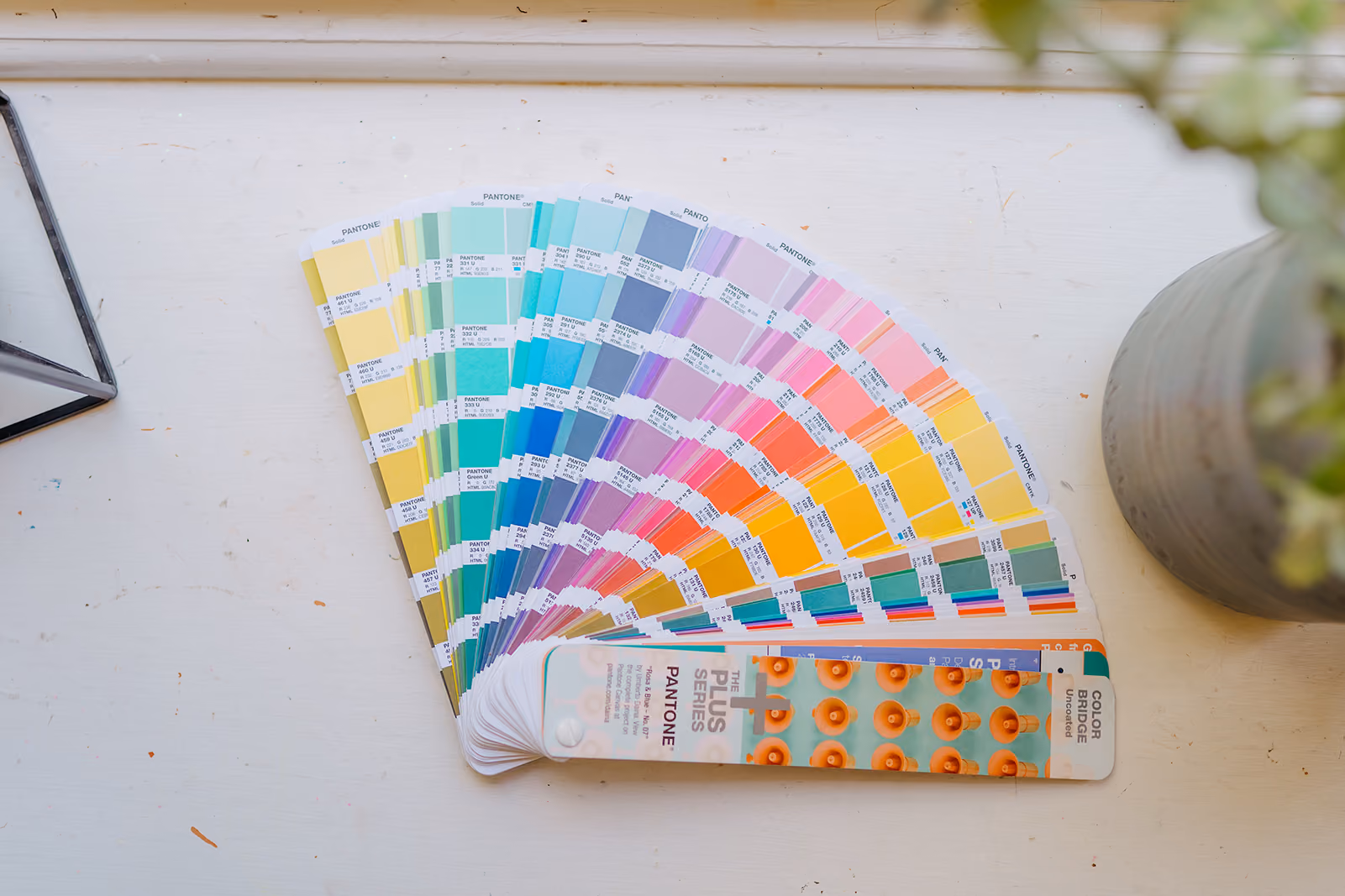 Brand Identities For Purpose Driven Businesses