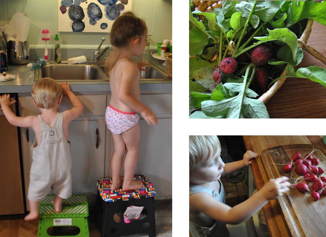 Garden Helpers