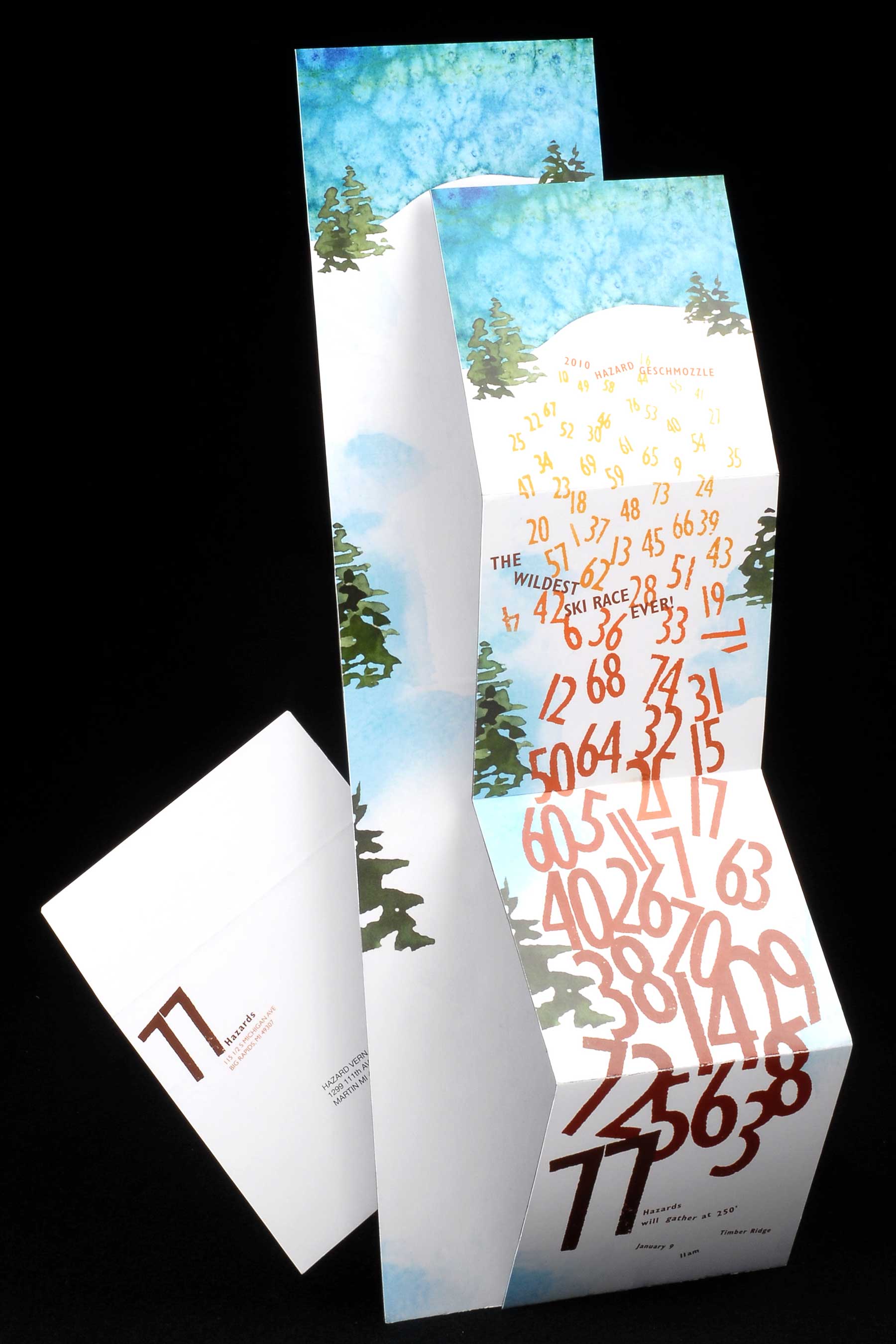 Family Reunion Invitation