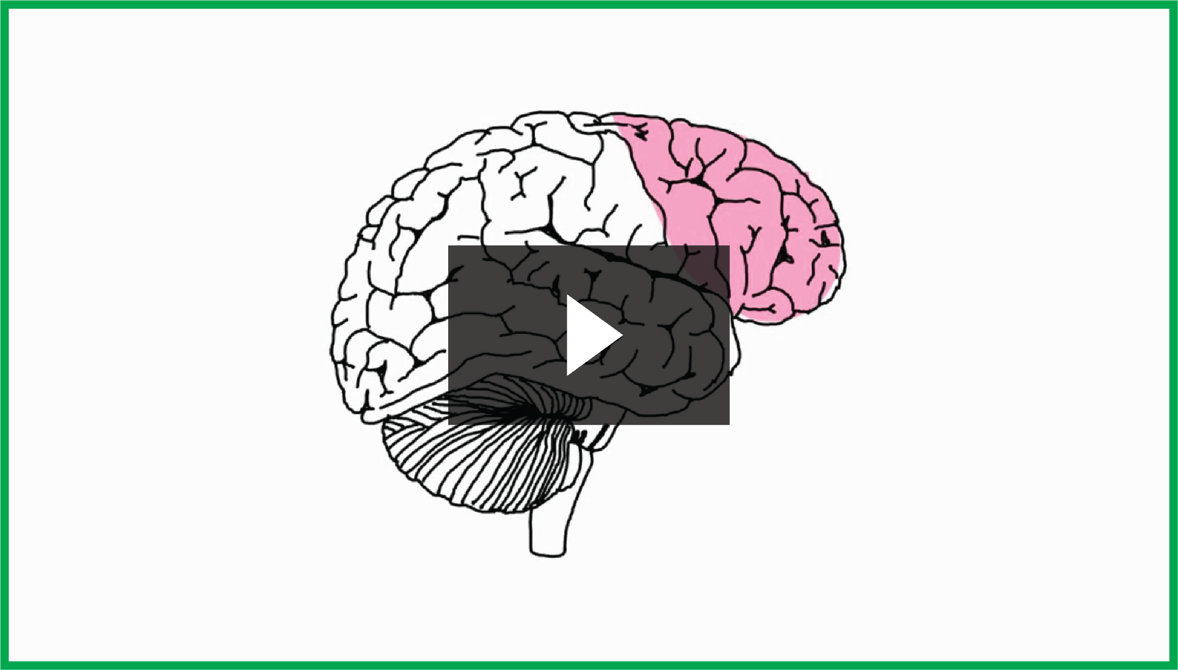 Chiropractic Care and Brain Function