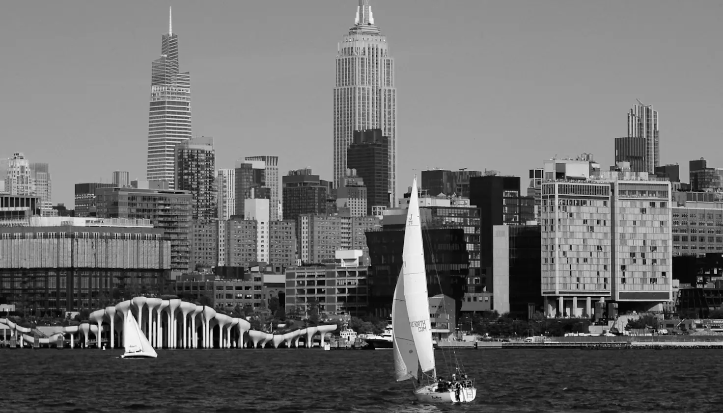How to Choose the Right SaaS SEO Consultant in New York