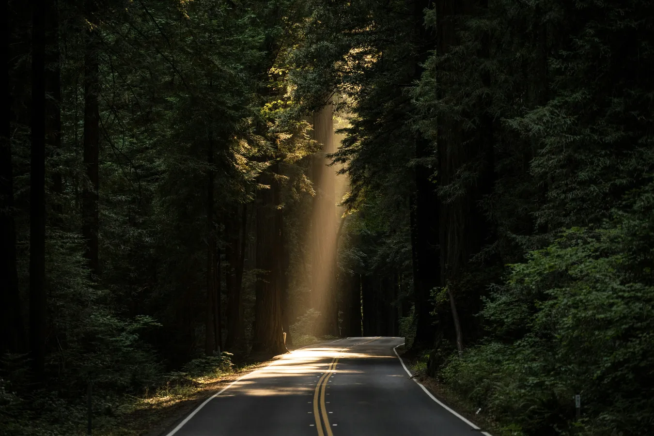 How to Choose a B2B Growth Marketing Agency Without Burning Two Quarters