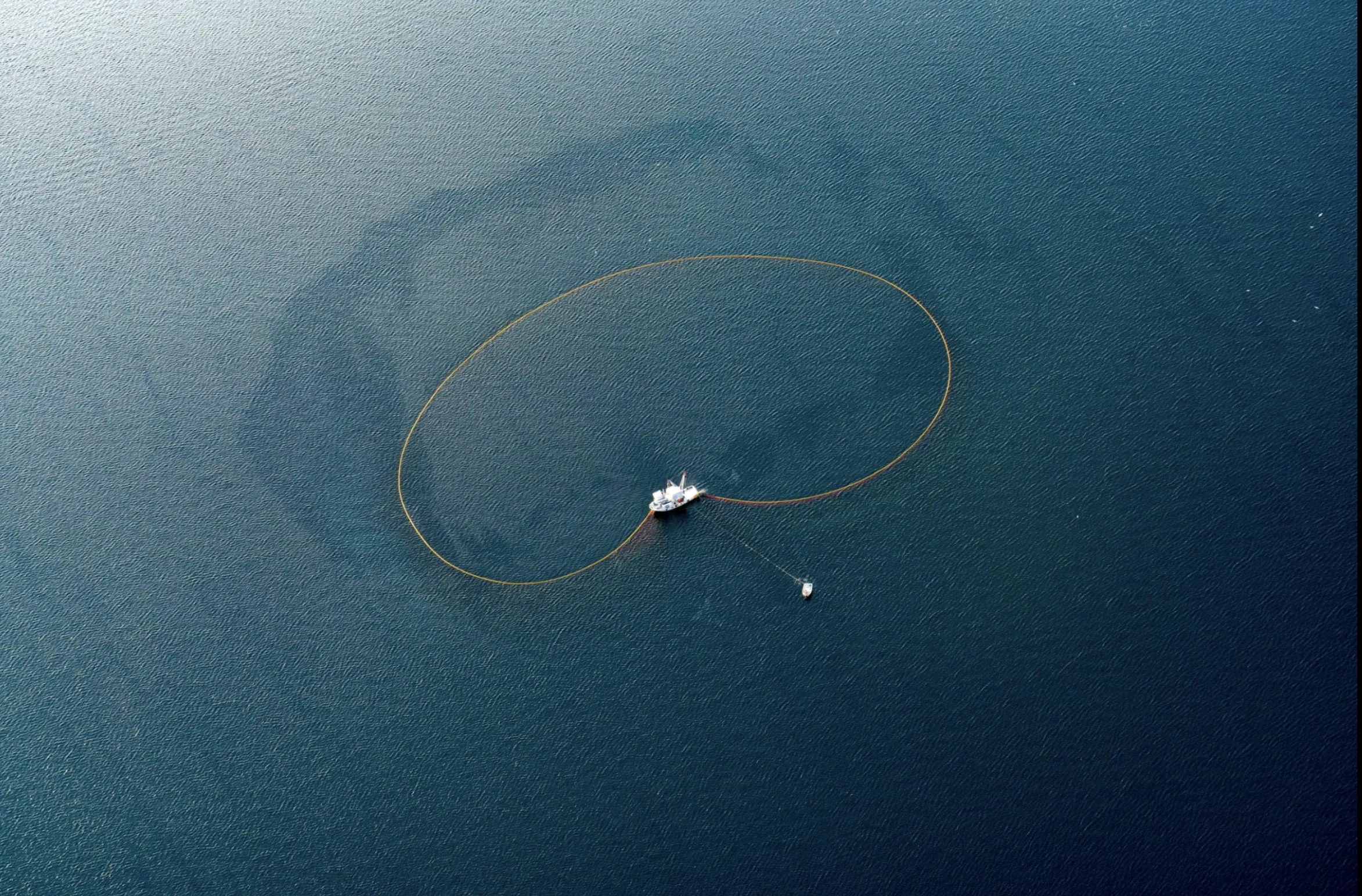 Fishing net representing targeted SaaS demand generation and qualified lead generation.