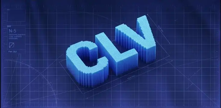 Customer Lifetime Value: How to Calculate CLV, Including Margin and Discounting