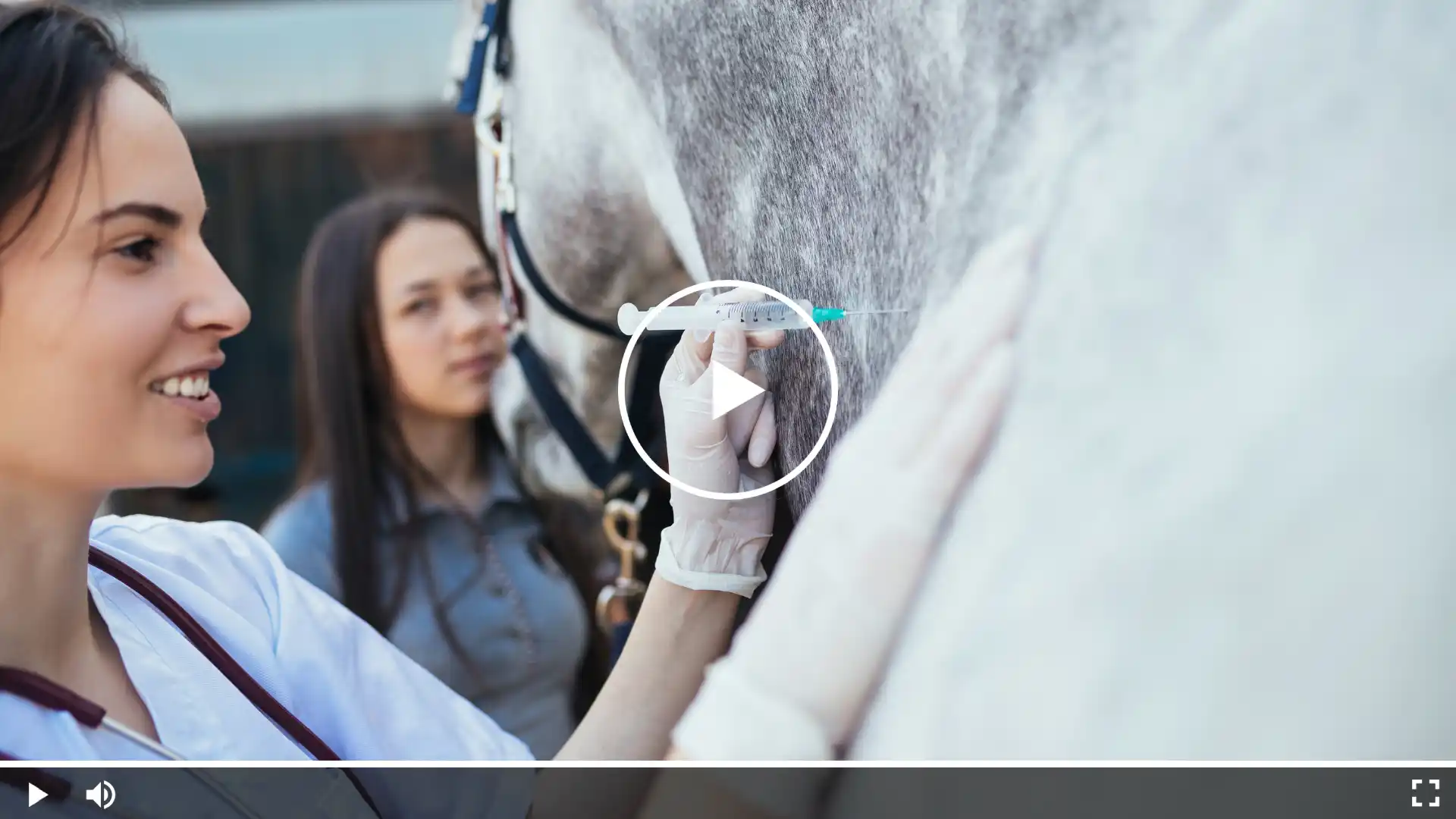 Tierärztin impft ein Pferd gegen Influenza in der Stallgasse. Das Video erklärt, wie die Pferdegrippe (Influenza) übertragen wird, welche Symptome auftreten und warum eine regelmäßige Impfung so wichtig ist – sowohl für das eigene Pferd als auch für den Schutz der gesamten Stallgemeinschaft.