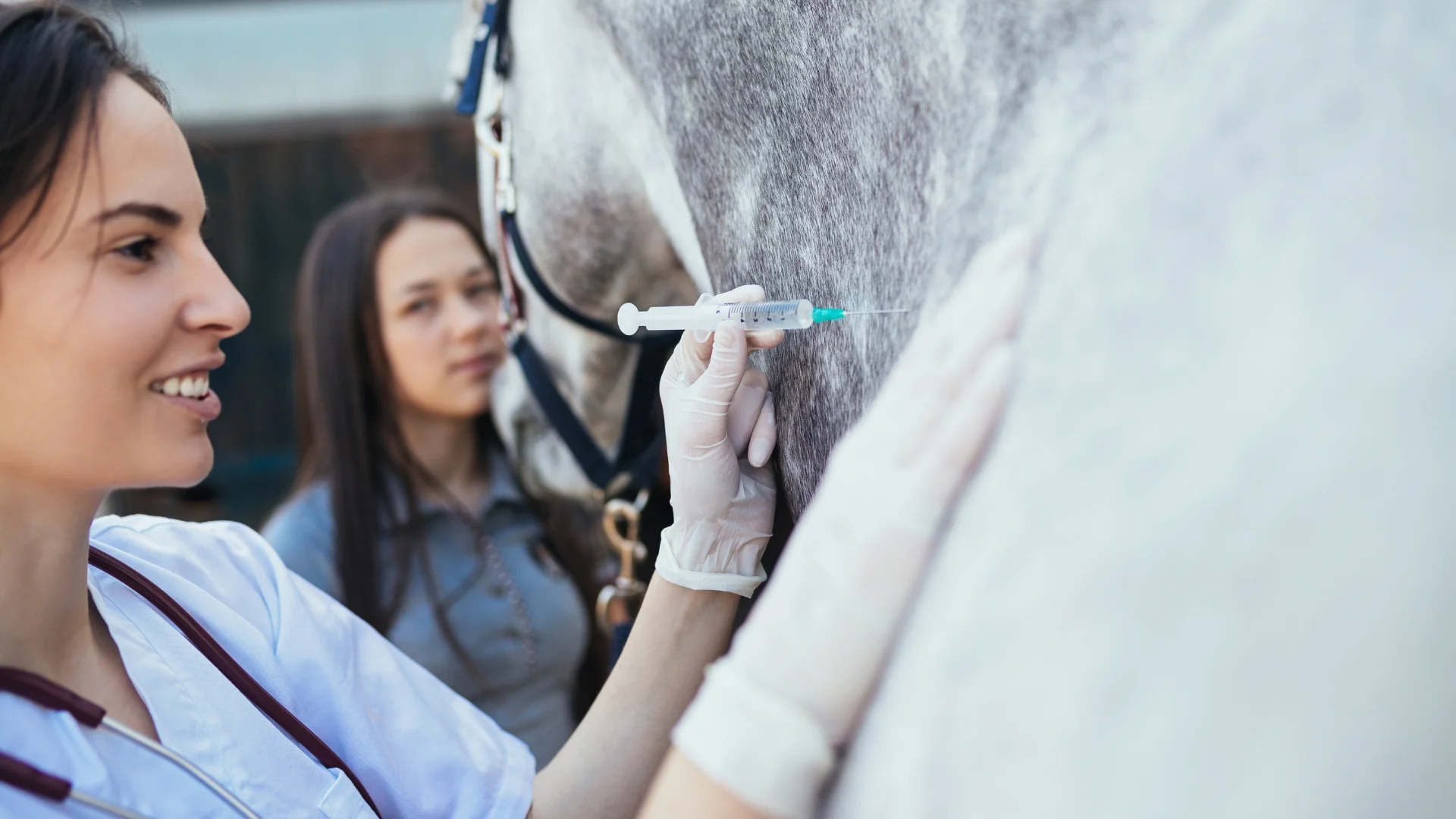 Eine Tierärztin bereitet in einem Pferdestall eine Spritze zur Impfung vor, im Hintergrund steht ein Pferd ruhig in seiner Box. Das Bild symbolisiert verantwortungsvolle Gesundheitsvorsorge beim Pferd durch regelmäßige Impfungen gegen Krankheiten wie Influenza, Herpes oder Tetanus.