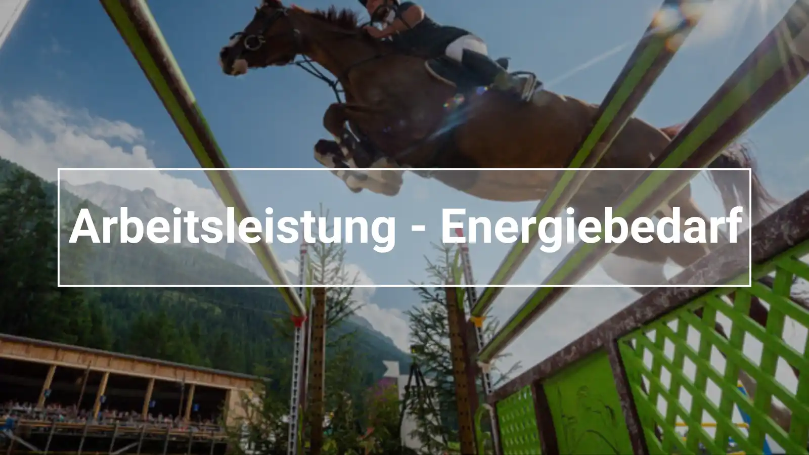 Ein Pferd überm Sprung. Dafür braucht das Pferd Energie, doch wie viel Energie braucht ein Pferd eigentlich?