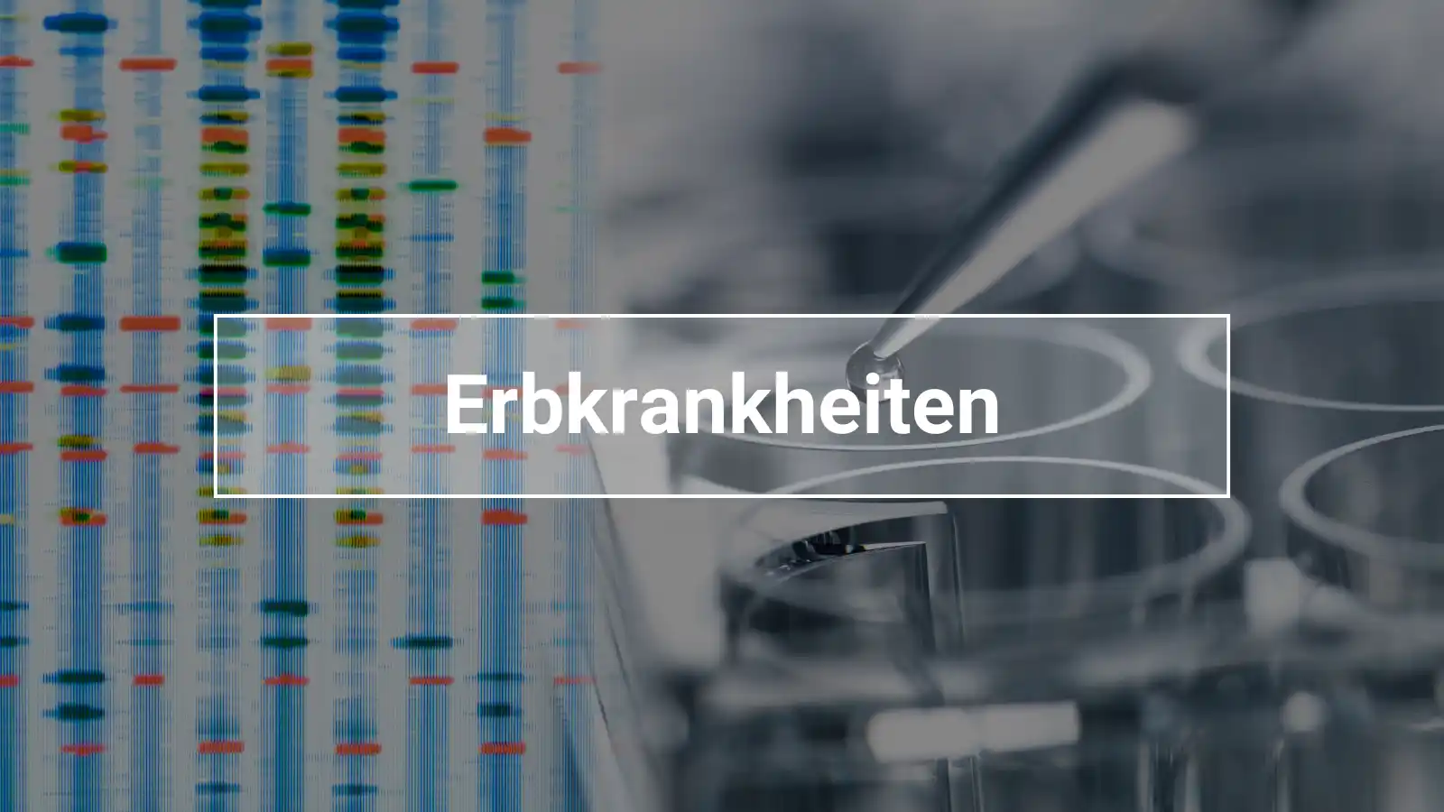 Gentest, Erbkrankheiten bei Pferden testen lassen