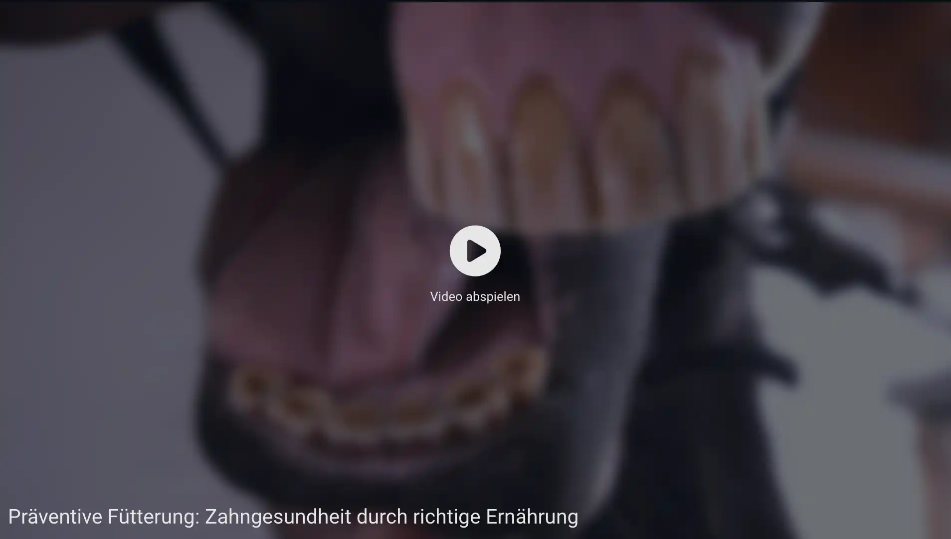 Gesunde Pferdezähne beginnen mit der richtigen Ernährung, Video Thumbnail