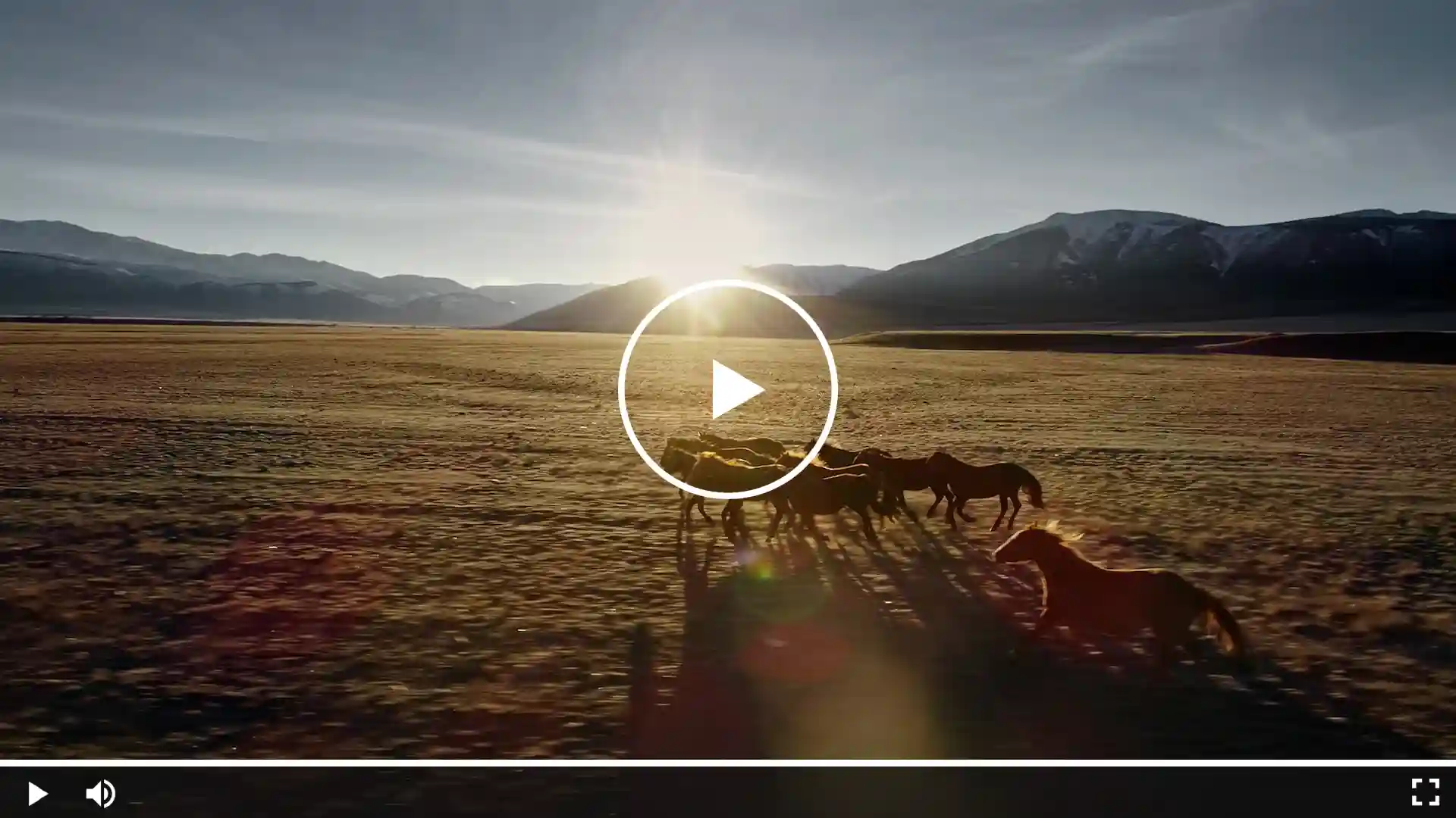 Herd of horses running across an open plain at sunset with mountains in the background, capturing freedom, movement, and natural beauty