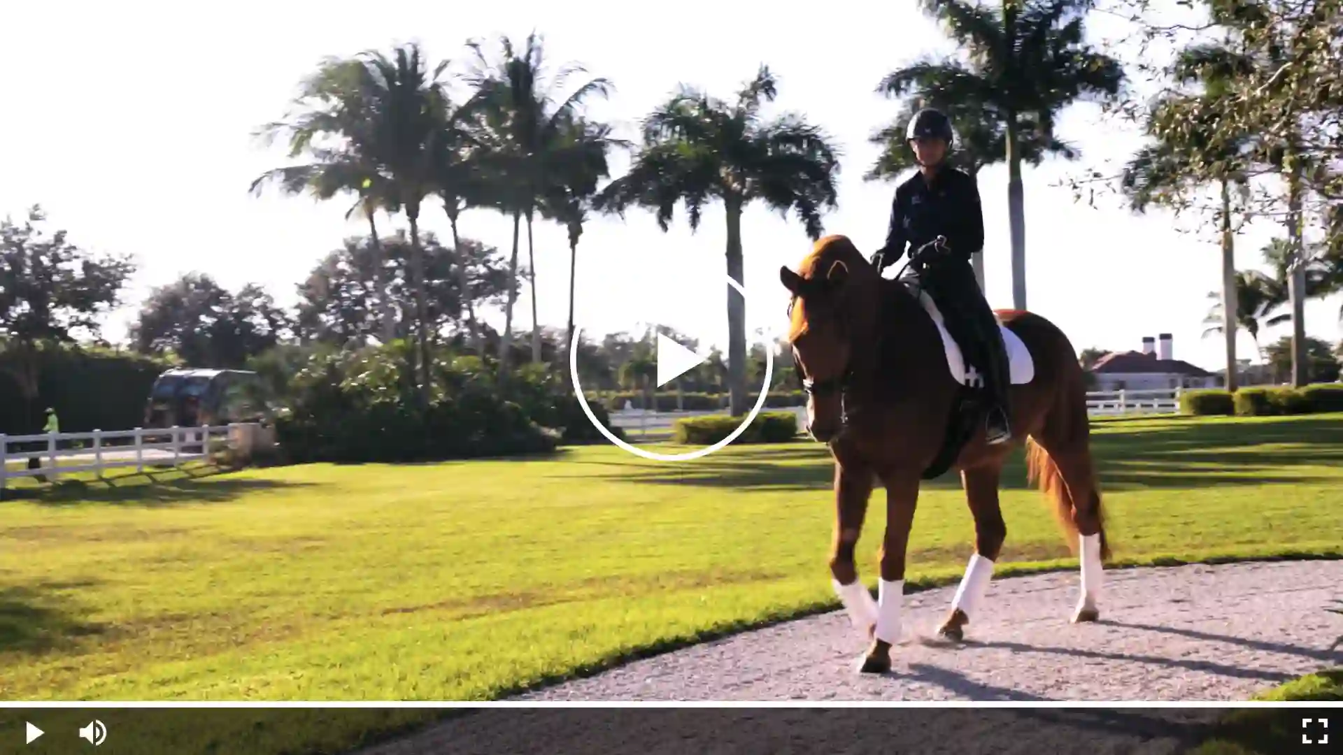 Dressage rider on a chestnut horse walking on a groomed path in a sunny outdoor arena with palm trees, focusing on relaxation, balance, and correct posture