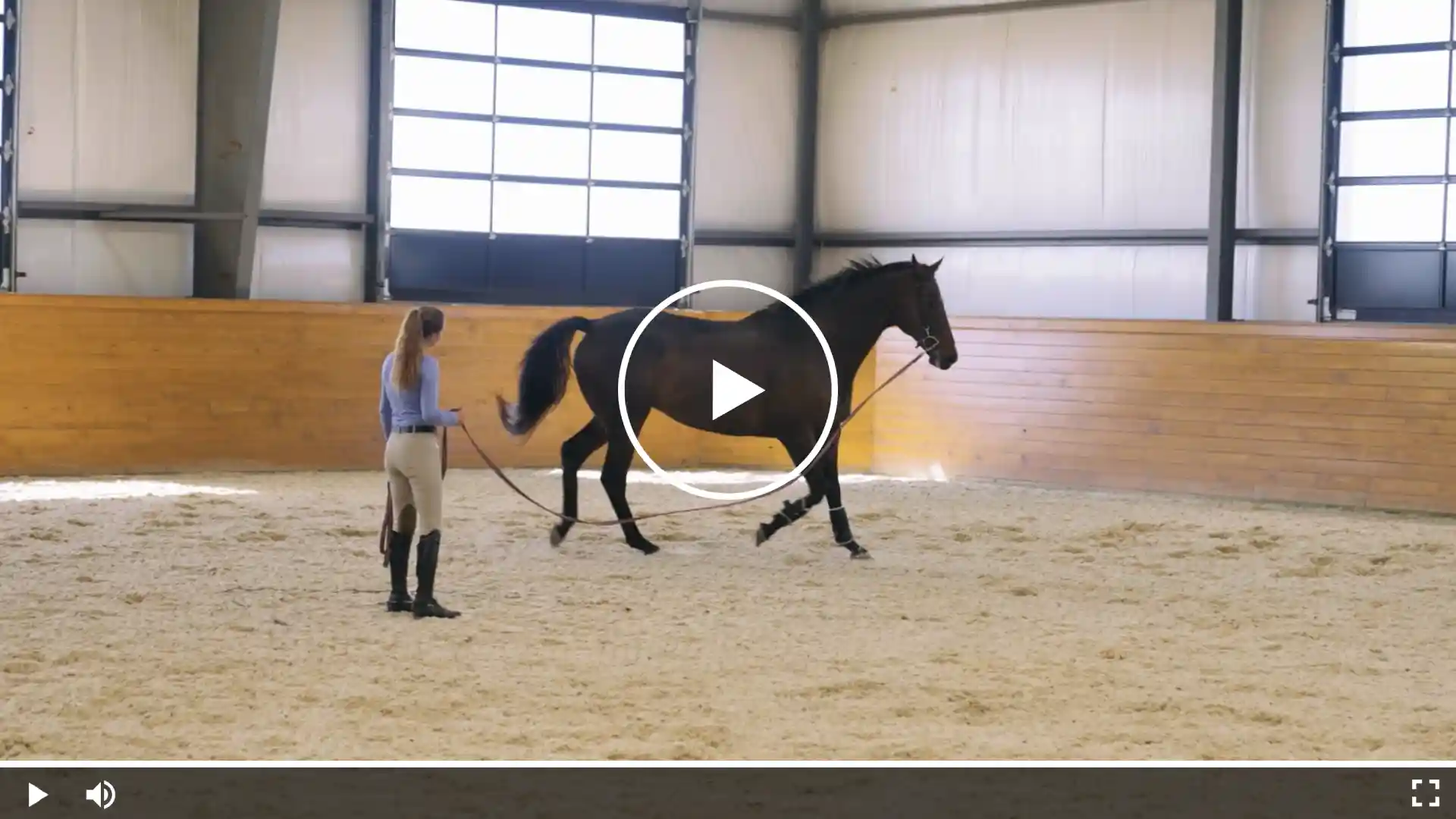 women is lunging a dark bay horse in a covered arena