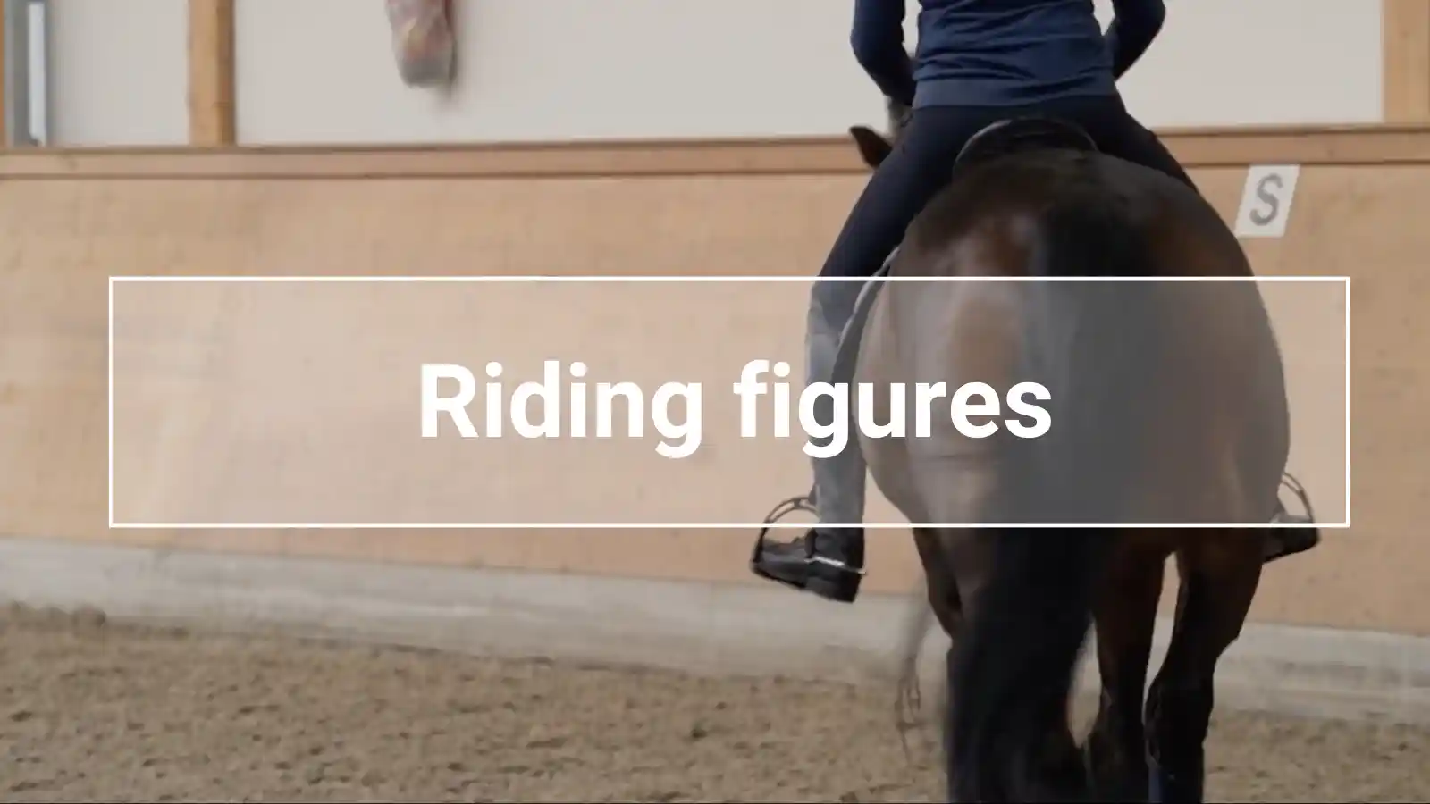 Rider on a horse in an indoor arena performing arena figures – targeted schooling to improve coordination, obedience, and precision of lines.