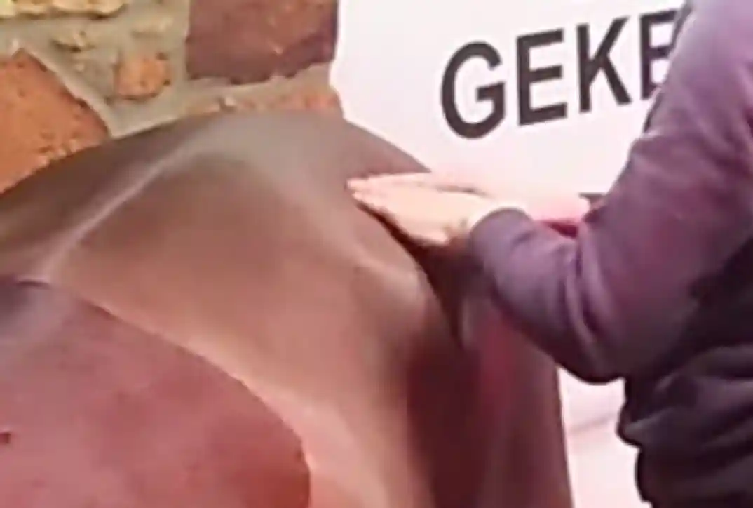 Nahaufnahme: Therapeutin massiert die Kruppen- und Gesäßmuskulatur des Pferdes, um Spannung zu lösen und die Hinterhandbeweglichkeit zu unterstützen.